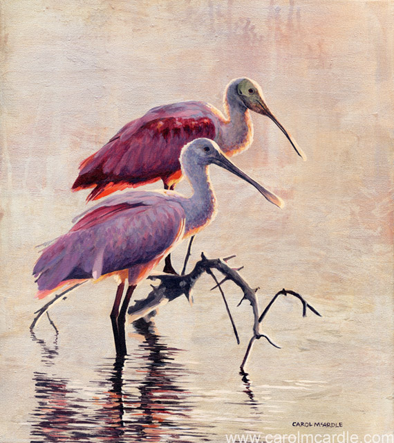 Spoonbill Splendor I